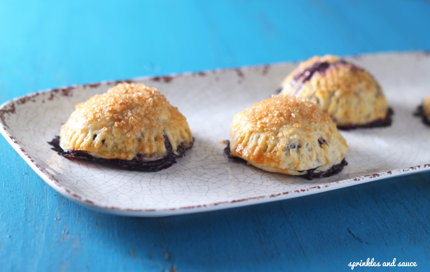 Mini Blueberry Hand Pies2