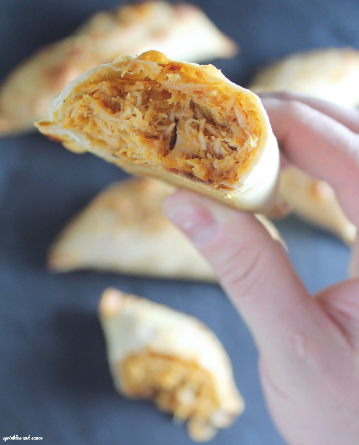 Pulled Pork Mango Empanada2