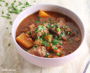 Guinness Beef Stew - sprinkles and sauce